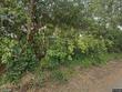  palmetto,  FL 34221