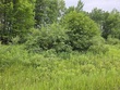  barryton,  MI 49305