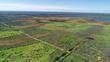  willow,  AK 99688