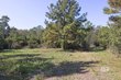  foley,  AL 35635