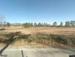 1255 county road 1219, falkville,  AL 35622