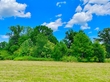 750 co rd 503, hanceville,  AL 35077