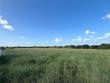 25188 new bremen rd, new ulm,  TX 78950