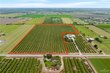  donna,  TX 78537