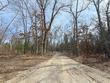  chase,  MI 49623