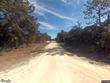  webster,  FL 33597