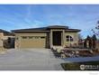 1136 blue agave ct, loveland,  CO 80537