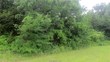 1015 w villa maria rd, bryan,  TX 77801