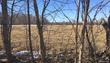  berlin twp,  MI 48002