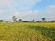 1418 orange hill rd, sealy,  TX 77474