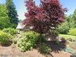 24800 sw big fir rd, west linn,  OR 97068