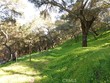  atascadero,  CA 93422