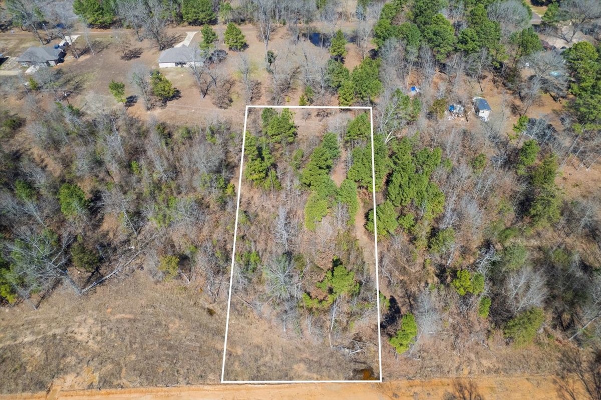 lot 8 piney lane, pittsburg,  TX 75686