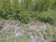  wasilla,  AK 99623