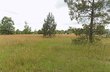 0 hanging moss trail, cottonwood,  AL 36320