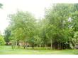 1821 bee creek dr, college station,  TX 77840