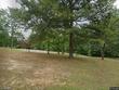 2221 county road 870 # 46
                                ,Unit # 46, crane hill,  AL 35053