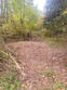  grand rapids,  MI 49534