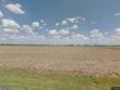  beasley,  TX 77417