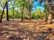 tbd cr 2600, pittsburg,  TX 75686