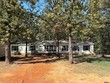 71 county road 2606, pittsburg,  TX 75686