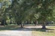  foley,  AL 36535