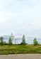  white lake,  MI 48383
