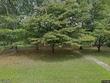 150 county road 1459, vinemont,  AL 35179