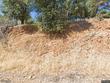 redding,  CA 96003