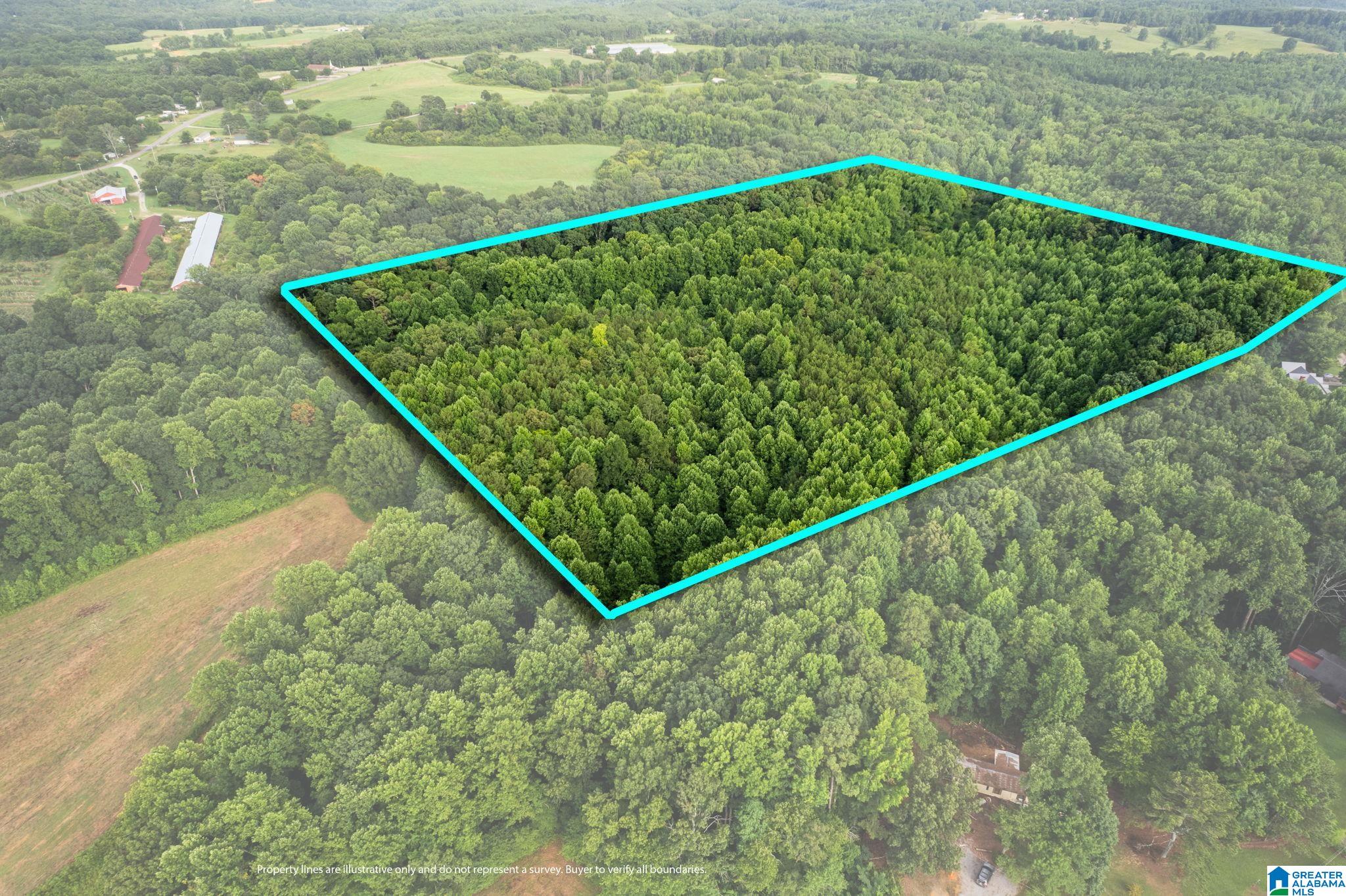 00 county road 1152, cullman,  AL 35057