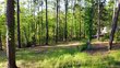 000 cardinal way circle, brookeland,  TX 75931