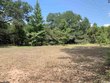 tbd cr 3510, leesburg,  TX 75451