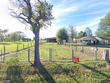 662 county road 2412, leesburg,  TX 75451