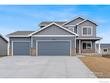 7172 feather reed dr, wellington,  CO 80549