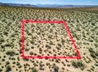  29 palms,  CA 92277