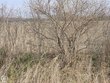  richmond twp,  MI 48063