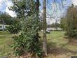  lillian,  AL 36549