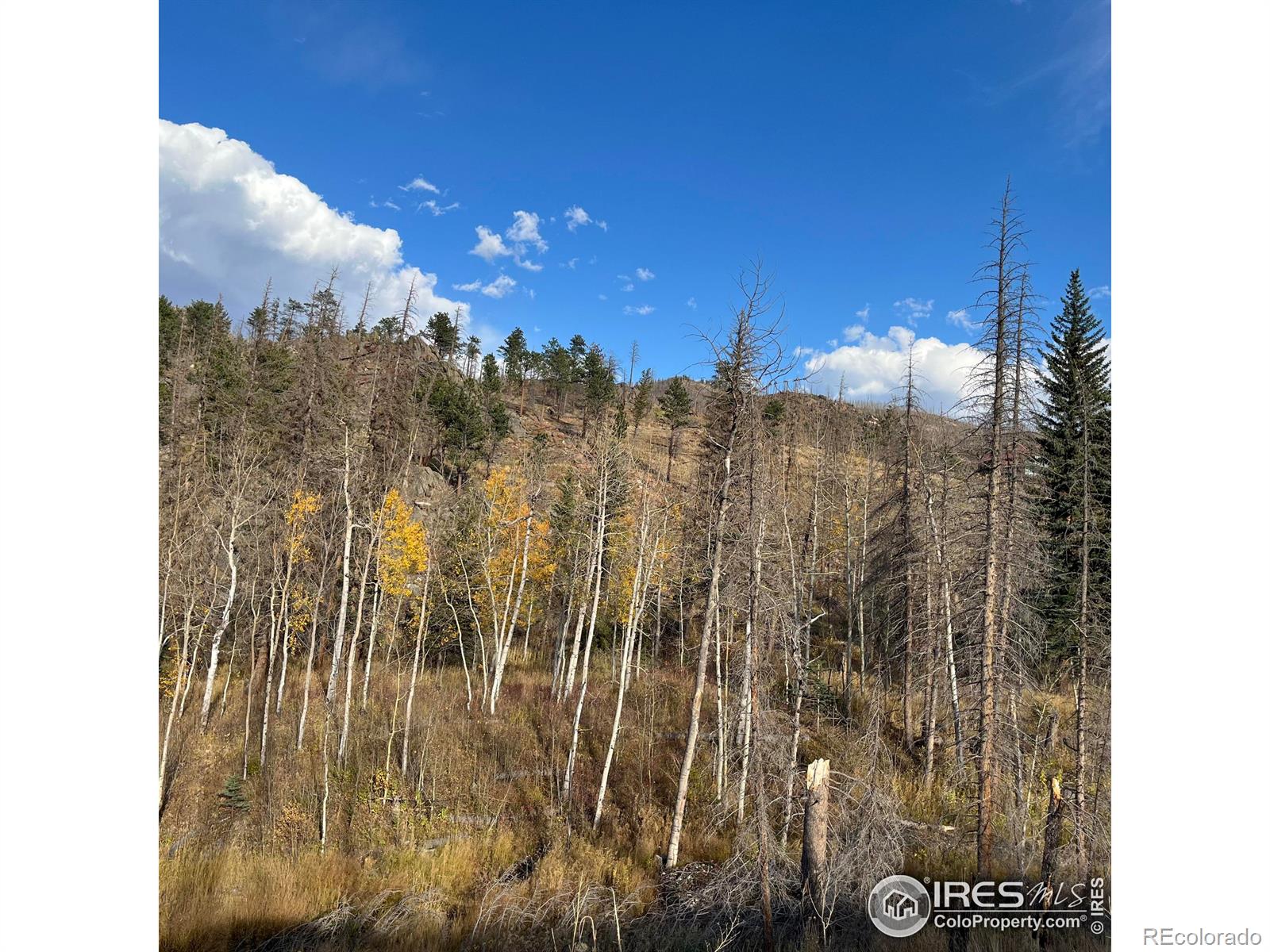 11 monument gulch way, bellvue,  CO 80512