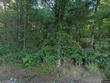 875 co rd 1629, cullman,  AL 35058