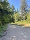  bridgeville,  CA 95526