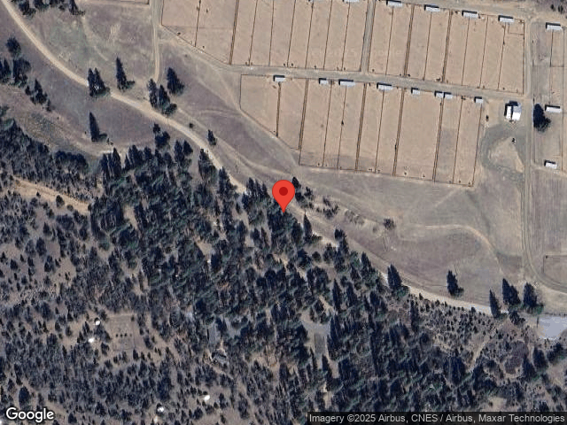 gazelle,  CA 96034