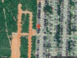 milton,  FL 32571