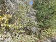 444 fernberg rd # 11
                                ,Unit # 11, ely,  MN 55731